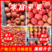 辽宁北镇优质苹果寒富苹果，一手货源，现摘现卖，代发全国