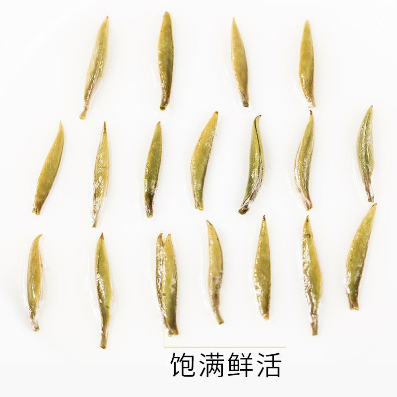 白豪银针+陈皮