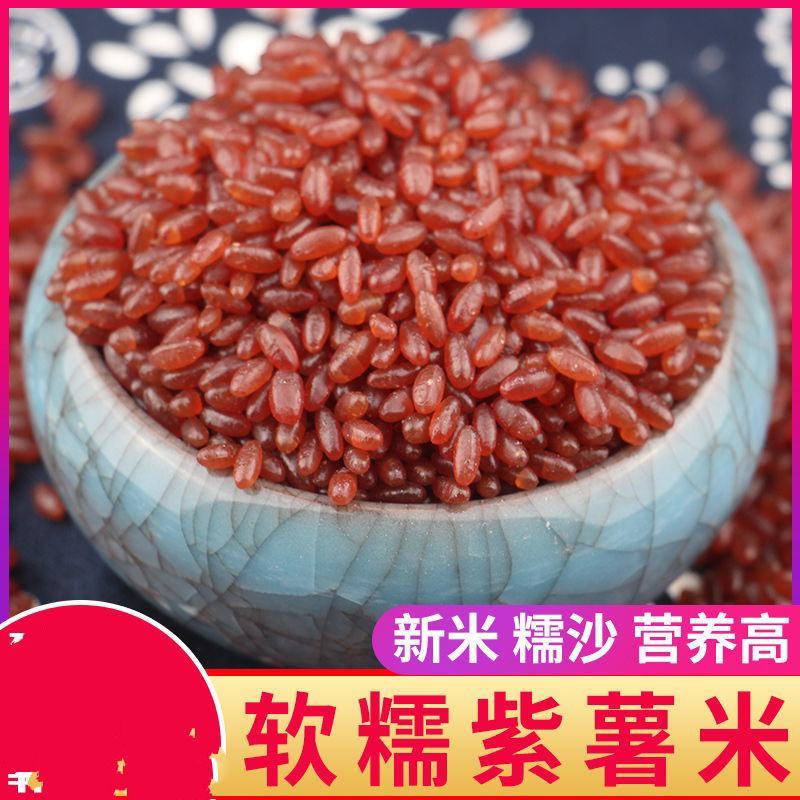 紫米熬粥五谷杂粮米原味紫米煮饭紫米一斤包邮