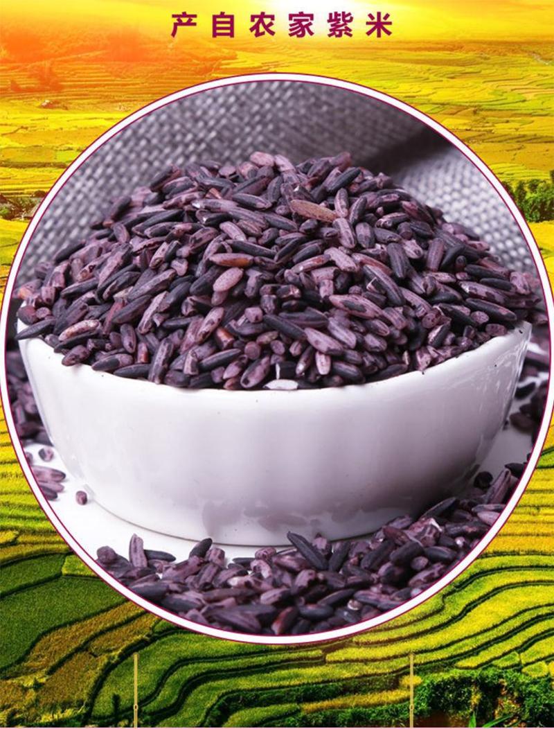 紫米熬粥五谷杂粮米原味紫米煮饭紫米一斤包邮