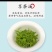 农家自产自销～～～～明前绿茶