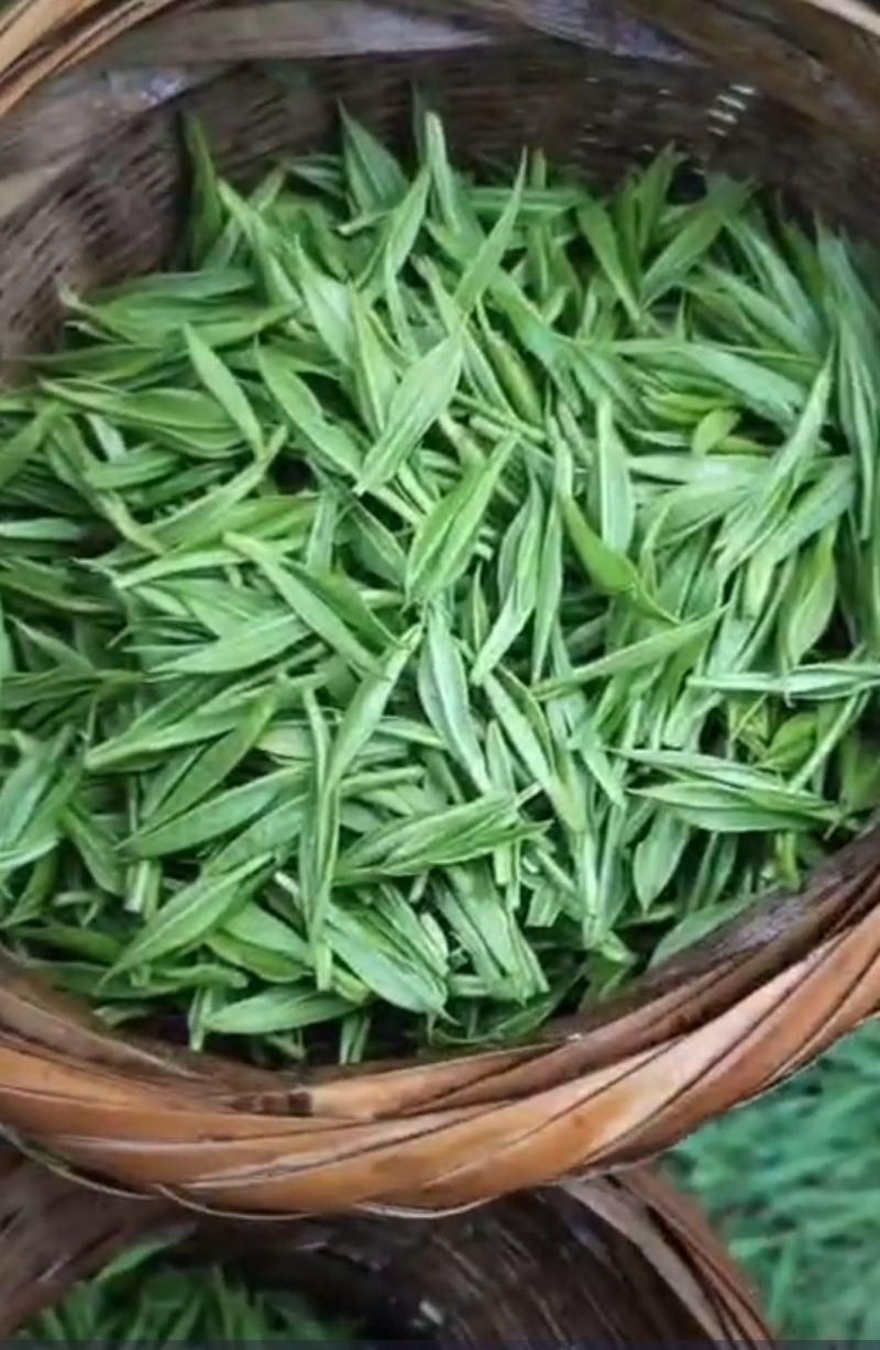农家自产自销～～～～明前绿茶