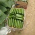 孝海文洋精品水果黄瓜种植基地大量上市，常年供应