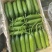 孝海文洋精品水果黄瓜种植基地大量上市，常年供应