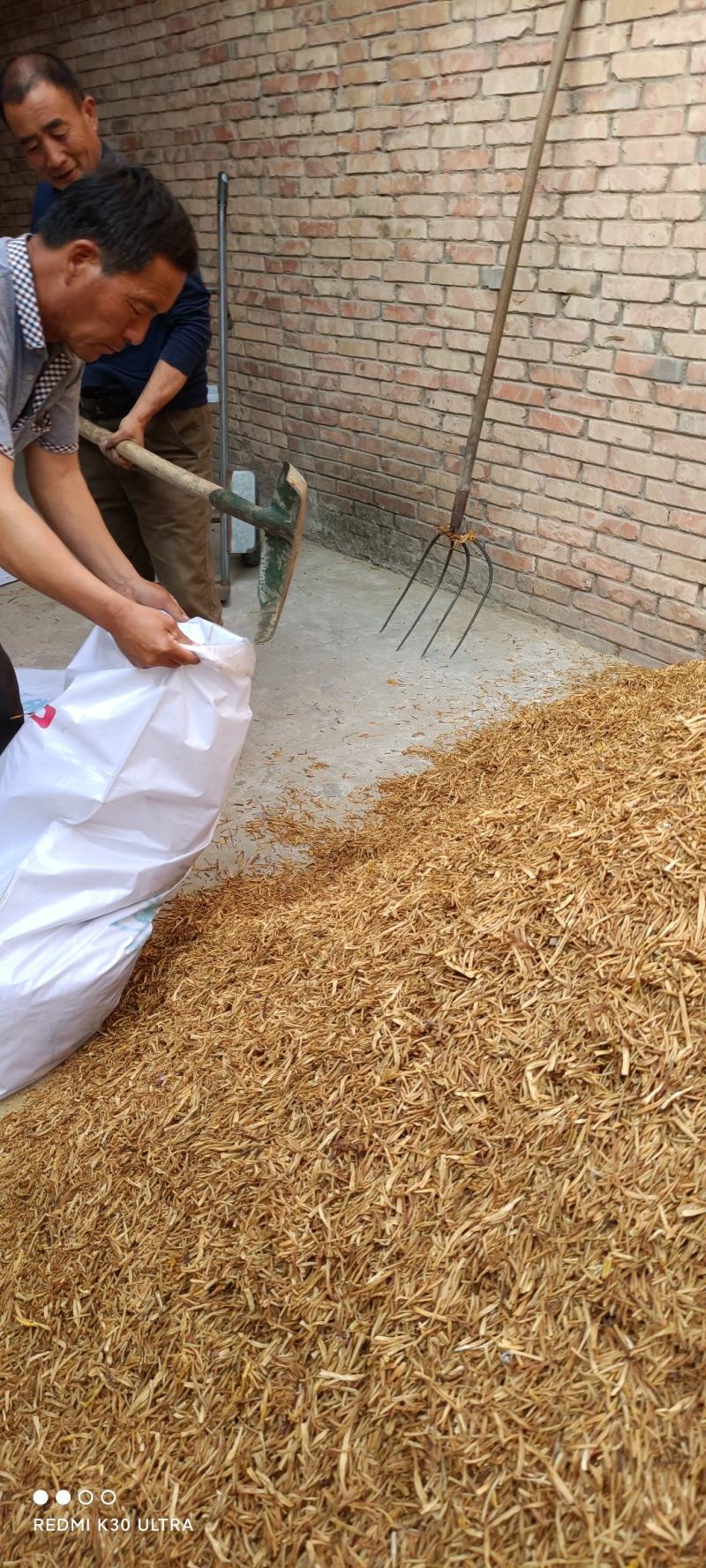 【大荔黄花菜】陕西黄花菜新鲜上市/无硫***欢迎下单