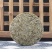 福鼎白茶2021年新茶白毫银针饼茶300克