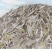 福鼎白茶2021年新茶白毫银针饼茶300克