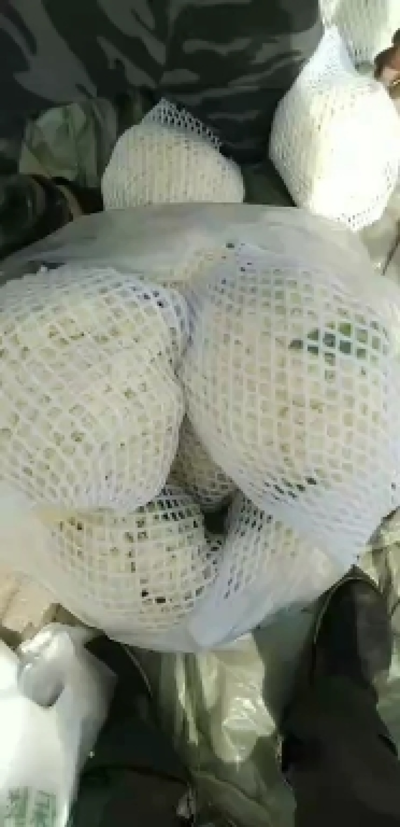 有机花