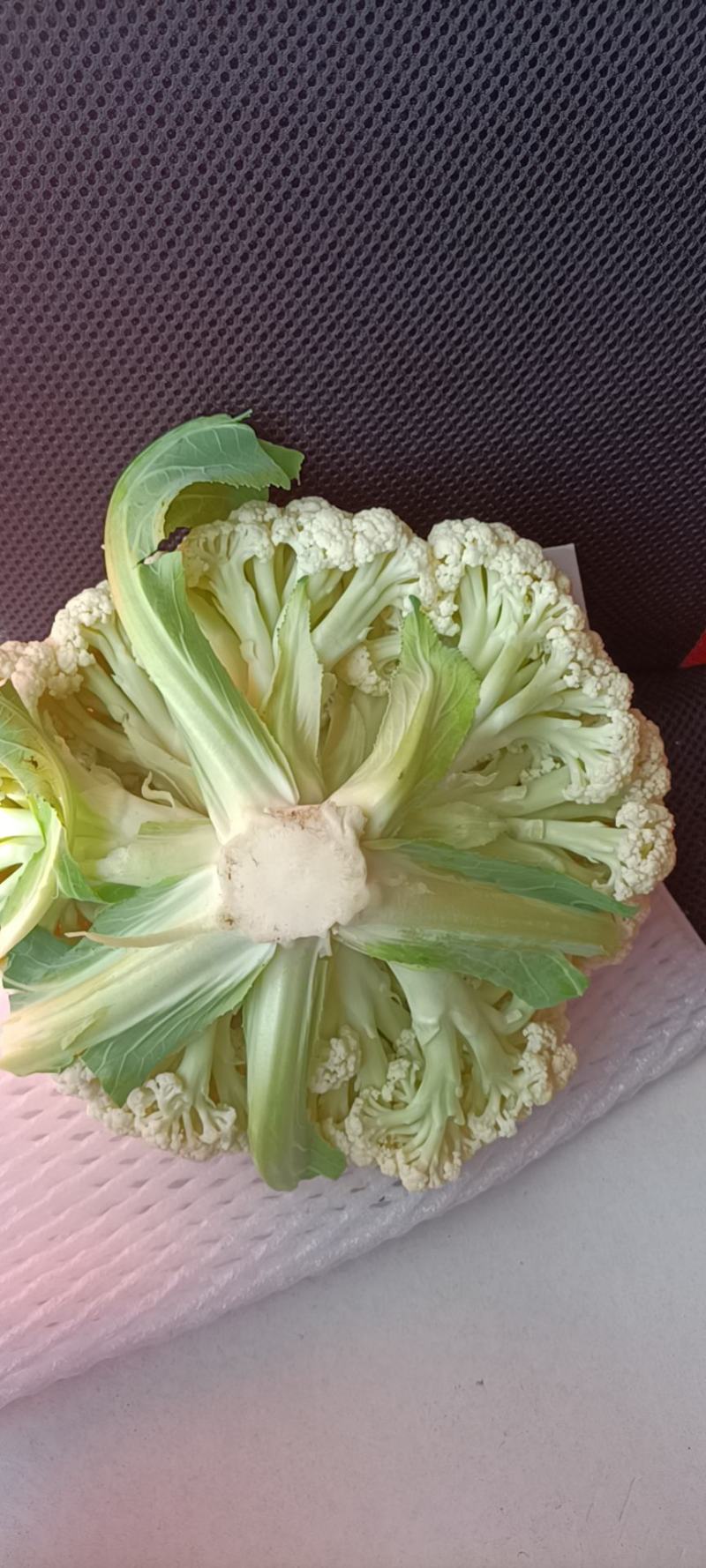 有机花