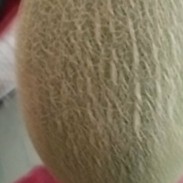 大量发货