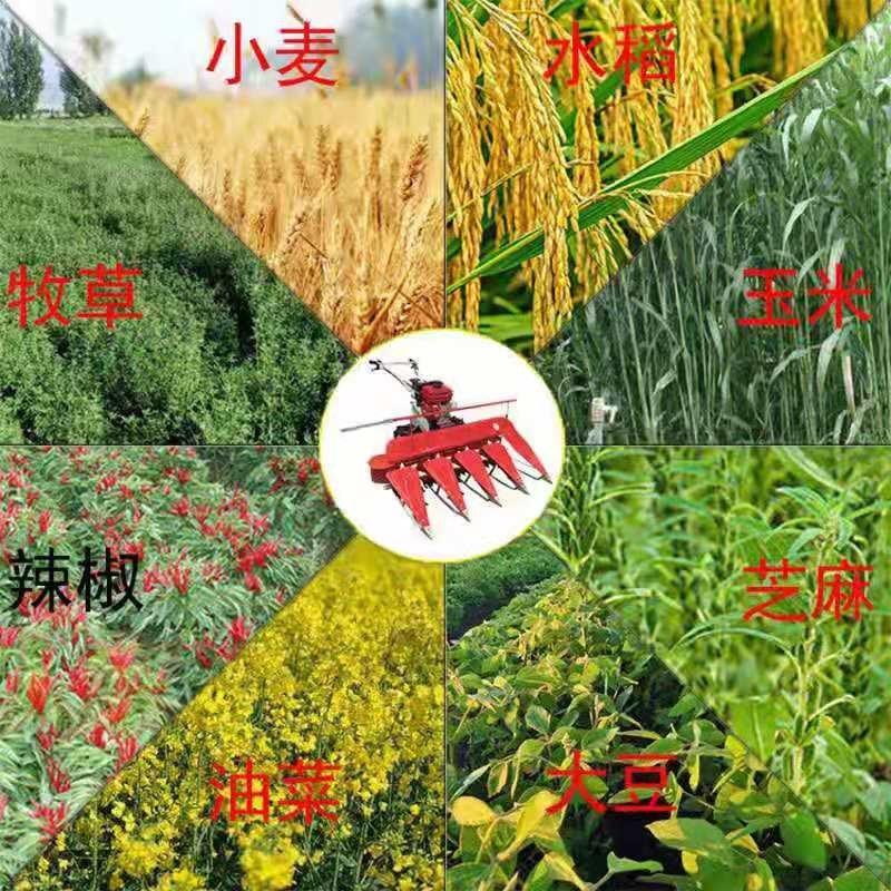 中药材紫苏收割机农用小型水稻小麦牧草收割机山地收割机