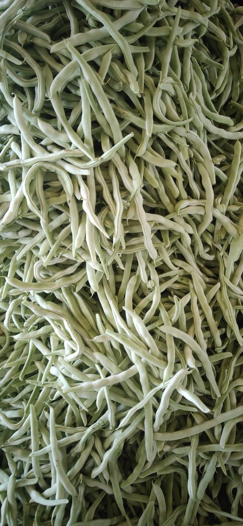 白豆角