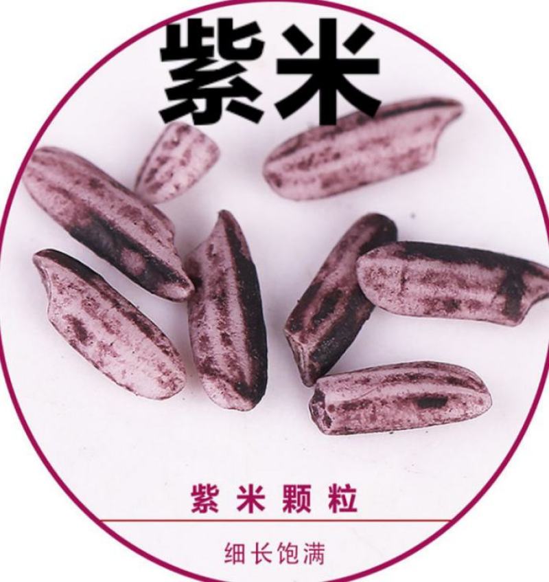 紫米熬粥五谷杂粮米原味紫米煮饭紫米一斤包邮