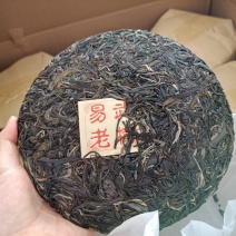 易武正山选用2020年易武正山春料压制香气高挂杯蜜香