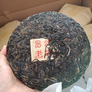 易武正山选用2020年易武正山春料压制香气高挂杯蜜香