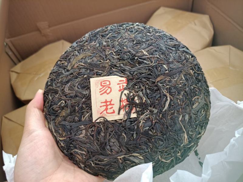 易武正山选用2020年易武正山春料压制香气高挂杯蜜香