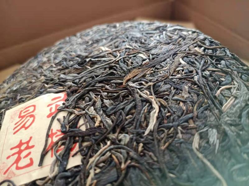 易武正山选用2020年易武正山春料压制香气高挂杯蜜香
