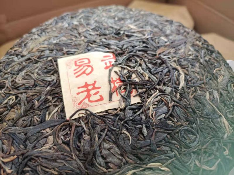 易武正山选用2020年易武正山春料压制香气高挂杯蜜香