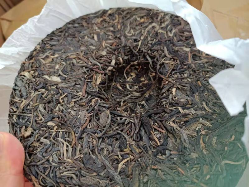 易武正山选用2020年易武正山春料压制香气高挂杯蜜香