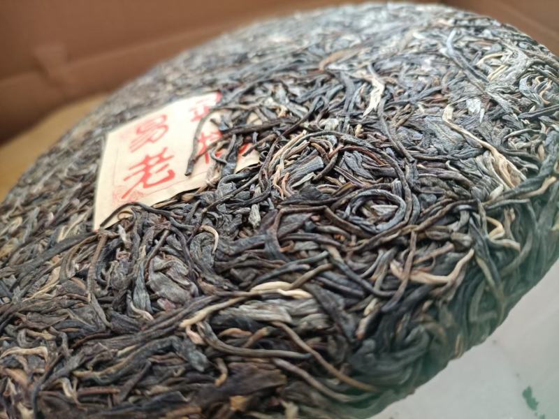 易武正山选用2020年易武正山春料压制香气高挂杯蜜香