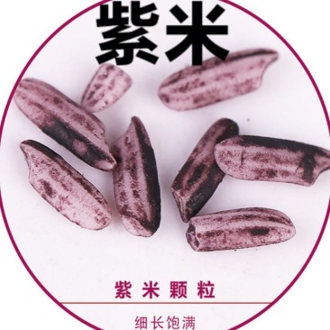 紫米墨江紫米农家紫米五谷杂粮紫米熬粥煮饭紫米