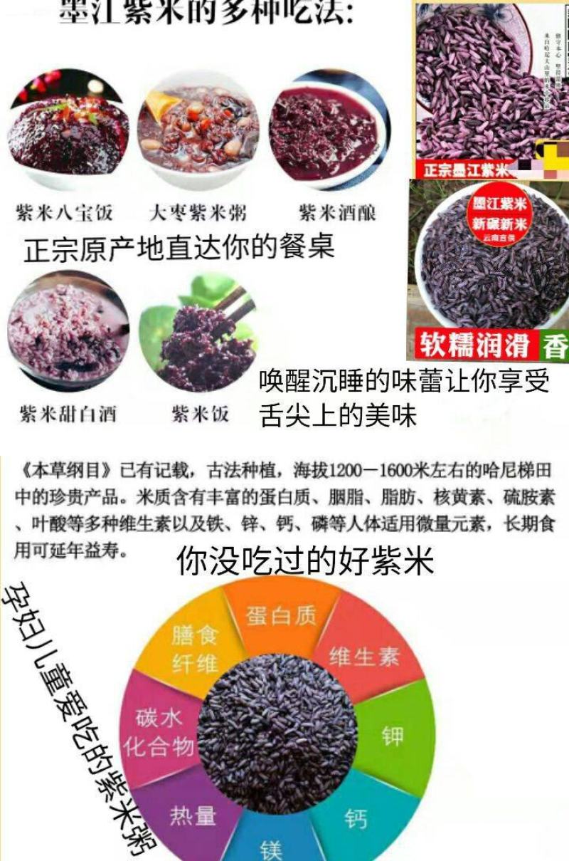 紫米墨江紫米农家紫米五谷杂粮紫米熬粥煮饭紫米