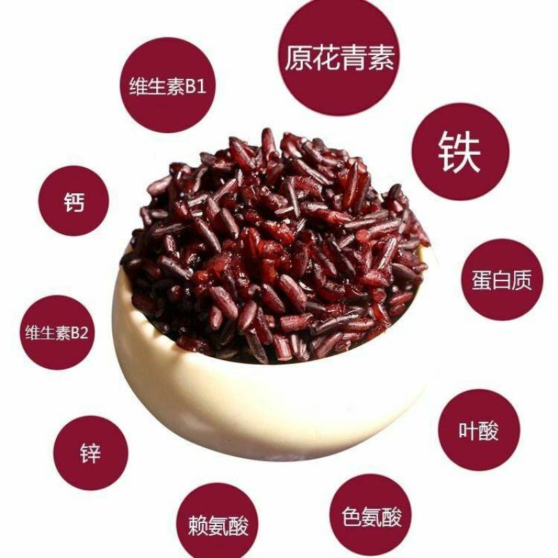 紫米墨江紫米农家紫米五谷杂粮紫米熬粥煮饭紫米