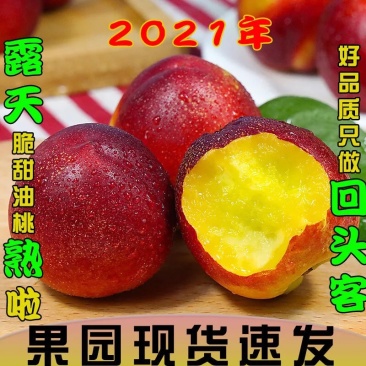 新鲜黄心油桃5斤桃子新鲜应季水果