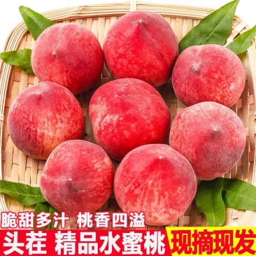 桃子新鲜水蜜桃太白山当季新鲜水蜜桃
