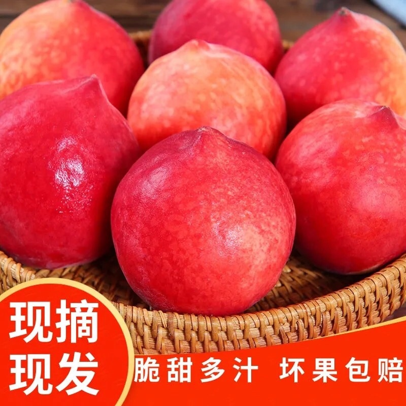 桃子新鲜水蜜桃太白山当季新鲜水蜜桃