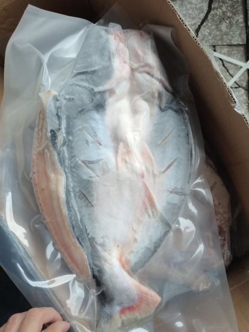 越南进口腌制开背巴沙鱼700-900，16条/件优惠