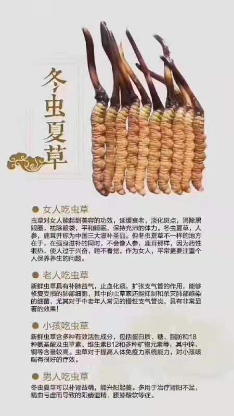 虫草