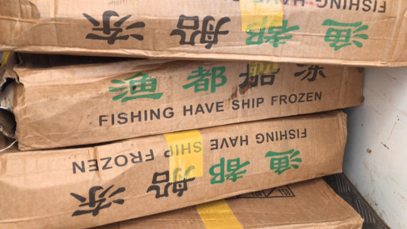 船冻带鱼质量好、价格优，全国各地直达，大量批发，手续齐全