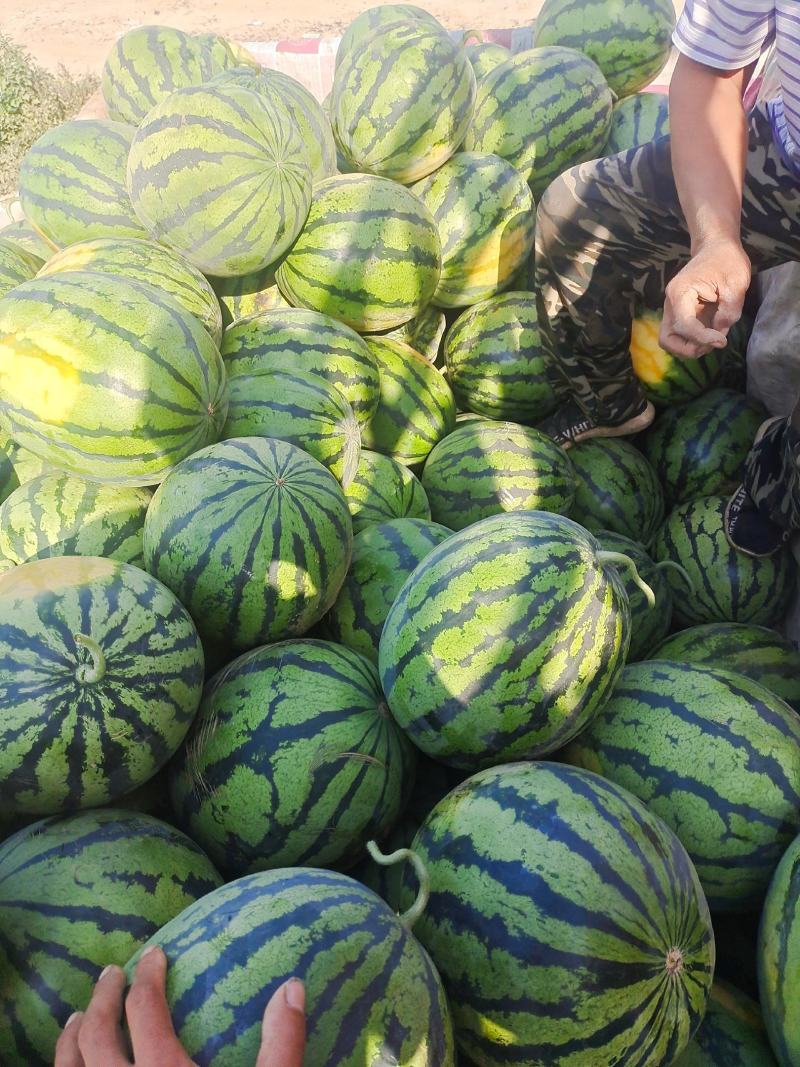 推荐河北保定甜王西瓜大量上市价优保质观迎