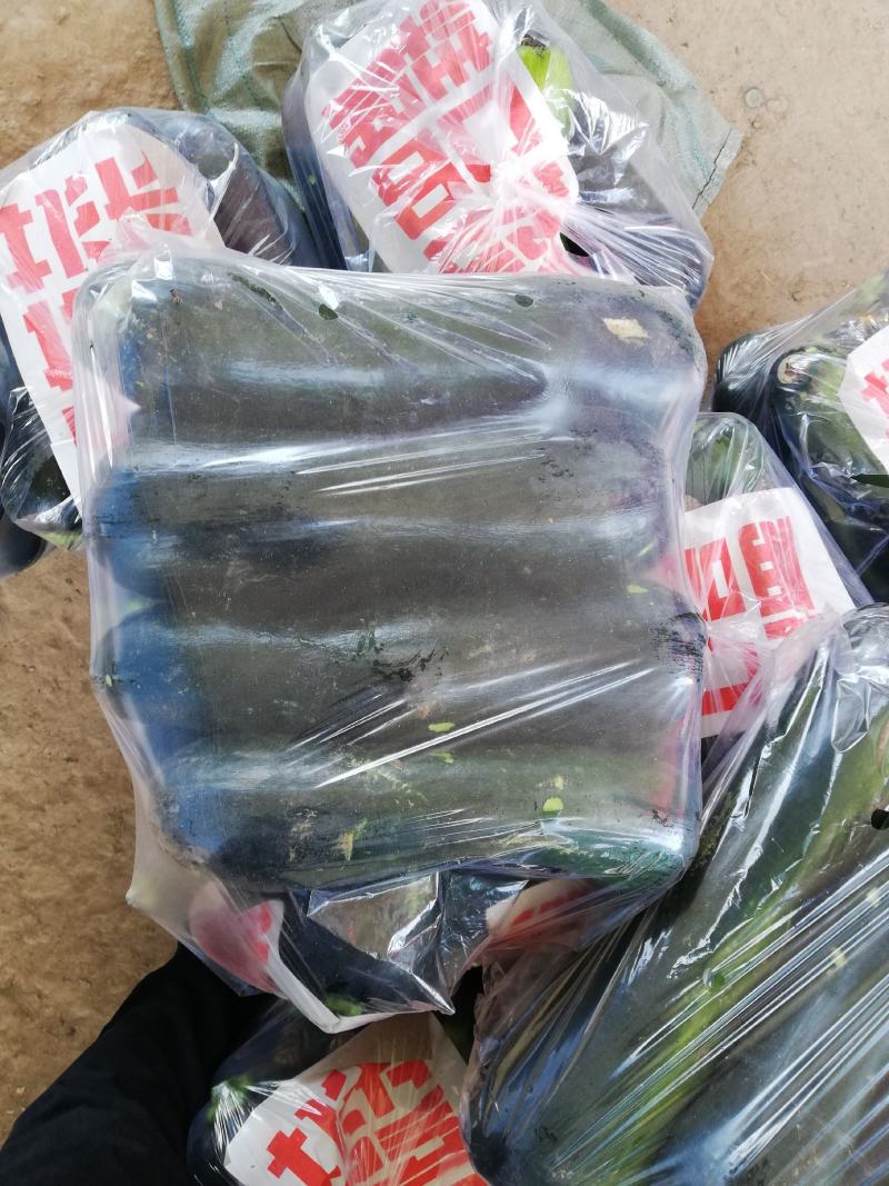 大量供应青皮精品小南瓜，条形正，口感好，耐运输。