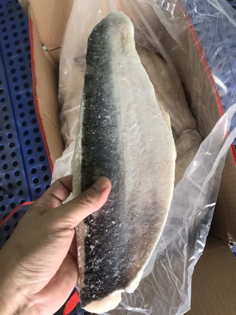 带皮巴沙鱼柳9成精修毛重20斤/件A级品质