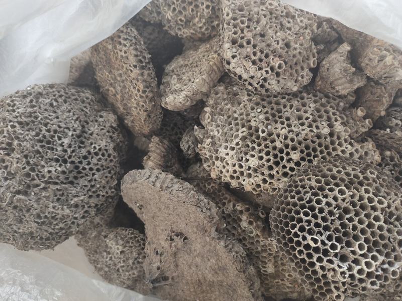 精品大小眼蜂房，常年购销本地无虫蛀大小蜂房