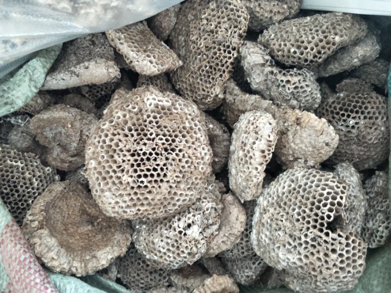 精品大小眼蜂房，常年购销本地无虫蛀大小蜂房