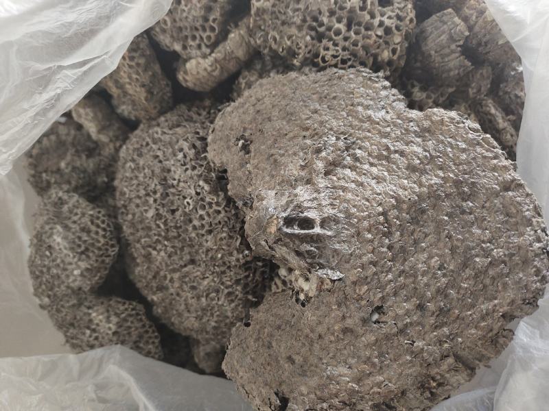 精品大小眼蜂房，常年购销本地无虫蛀大小蜂房