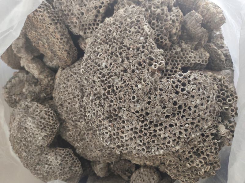 精品大小眼蜂房，常年购销本地无虫蛀大小蜂房