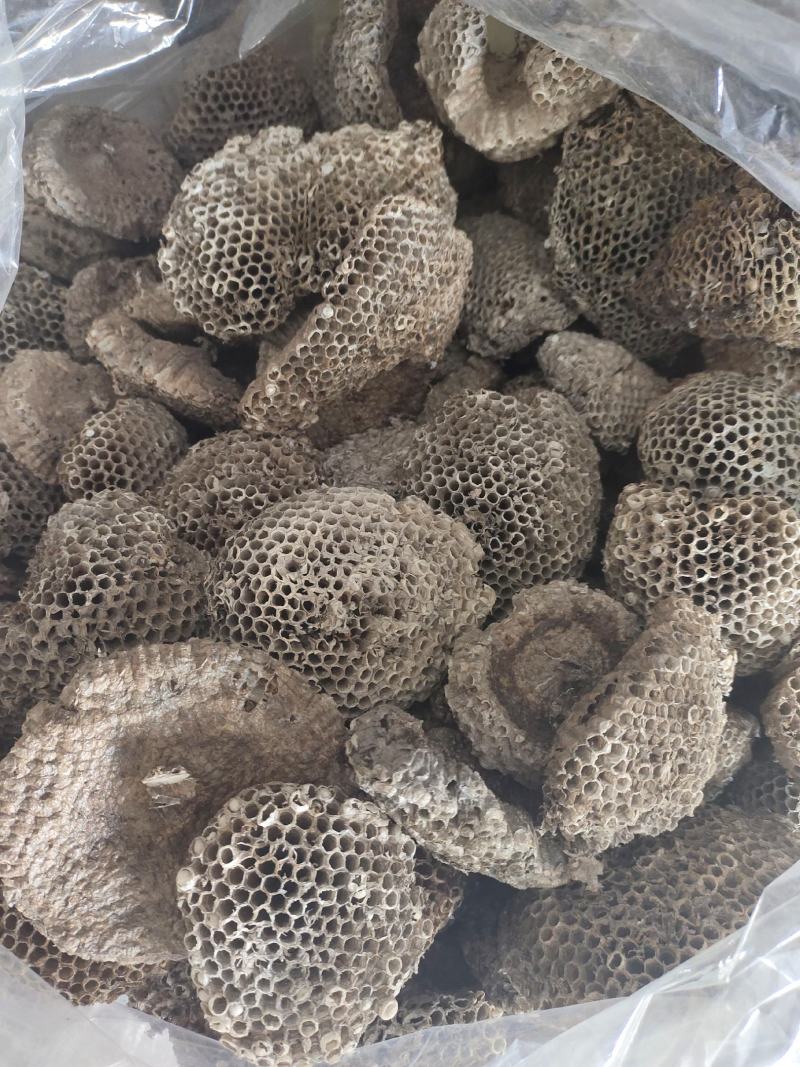 精品大小眼蜂房，常年购销本地无虫蛀大小蜂房