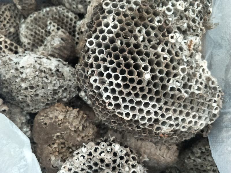 精品大小眼蜂房，常年购销本地无虫蛀大小蜂房