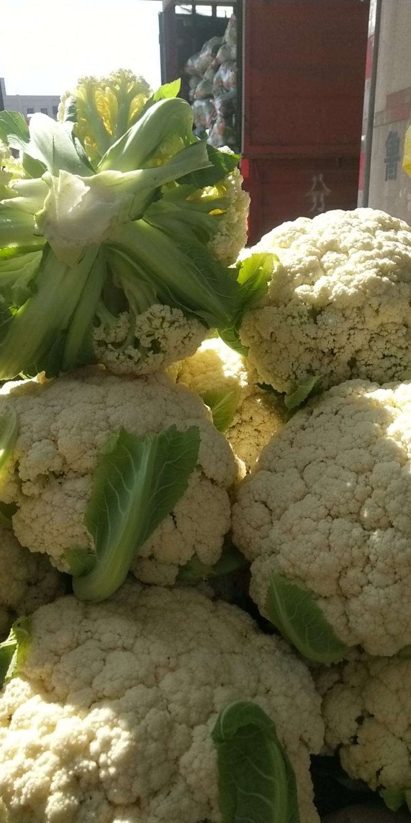 [精品菜花]定西优质菜花价格公道量大优惠