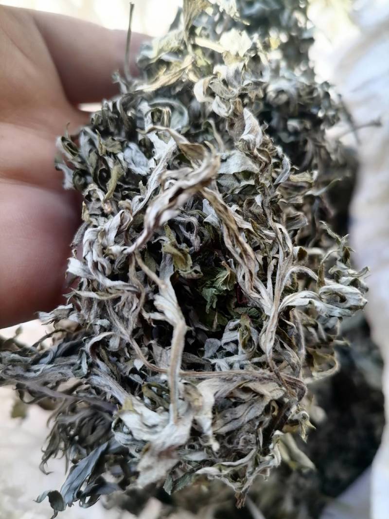艾叶纯野生艾叶：月子洗护，熏屋，产地直发，一手货源。！