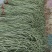 精品长豆角大量上市。