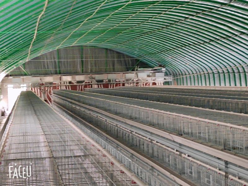 小层叠自动化养殖设备