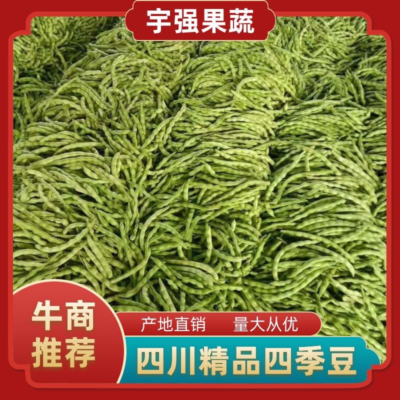架豆大青豆肉豆。四季豆棒豆20~25厘米货量充足