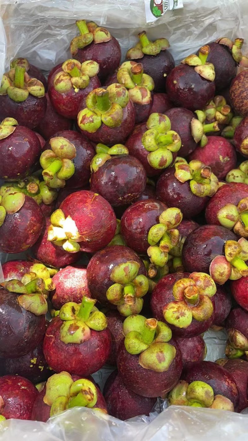 泰国山竹油竹麻竹半油沙批发