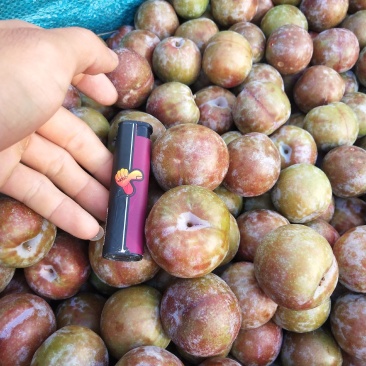 价格优惠，质量很好，要需要老板赶快，来联系我