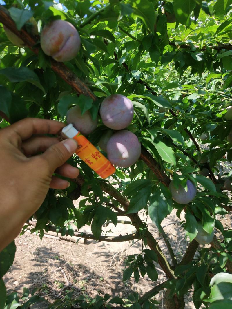价格优惠，质量很好，要需要老板赶快，来联系我